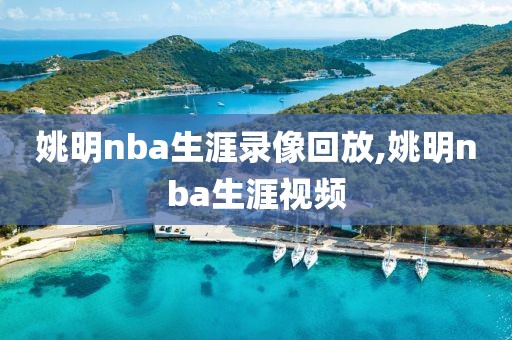 姚明nba生涯录像回放,姚明nba生涯视频