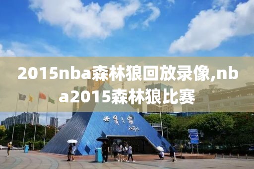 2015nba森林狼回放录像,nba2015森林狼比赛