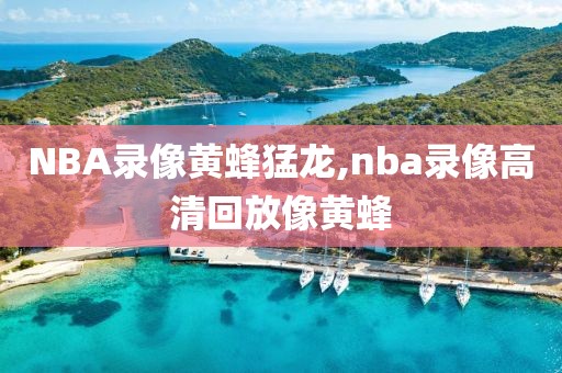 NBA录像黄蜂猛龙,nba录像高清回放像黄蜂