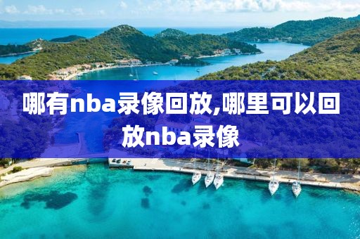 哪有nba录像回放,哪里可以回放nba录像