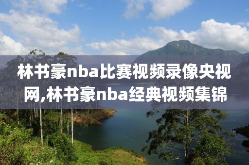 林书豪nba比赛视频录像央视网,林书豪nba经典视频集锦