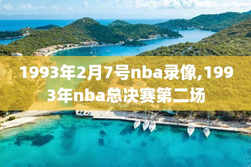 1993年2月7号nba录像,1993年nba总决赛第二场